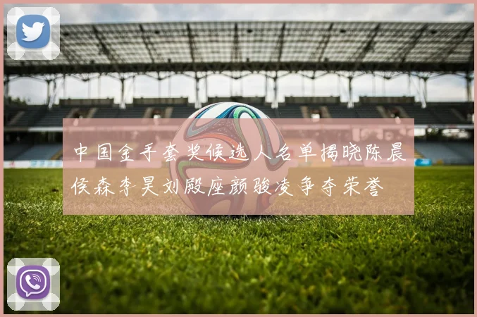 中国金手套奖候选人名单揭晓陈晨侯森李昊刘殿座颜骏凌争夺荣誉