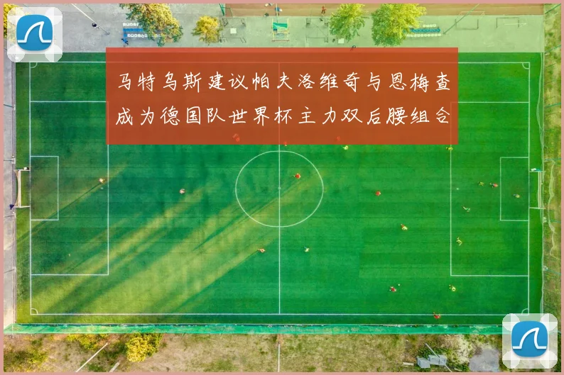 马特乌斯建议帕夫洛维奇与恩梅查成为德国队世界杯主力双后腰组合