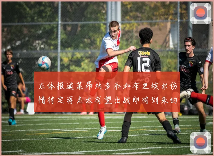 东体报道莱昂纳多和加布里埃尔伤情待定蒋光太有望出战即将到来的比赛