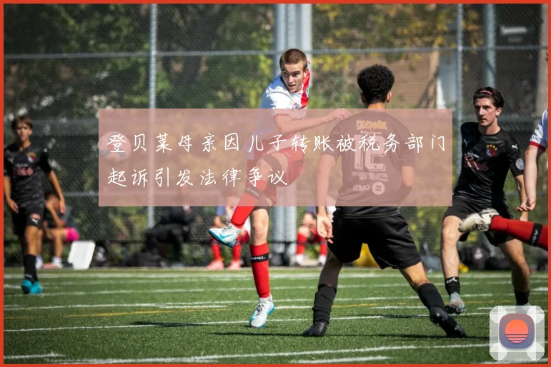 登贝莱母亲因儿子转账被税务部门起诉引发法律争议