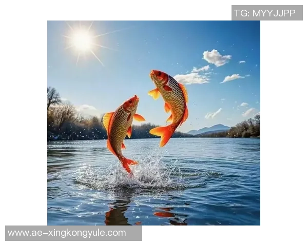 徐新自称阳光球迷称其锦鲤认为好运来自于不做亏心事 徐新自称阳光球迷称其锦鲤认为好运来自于不做亏心事